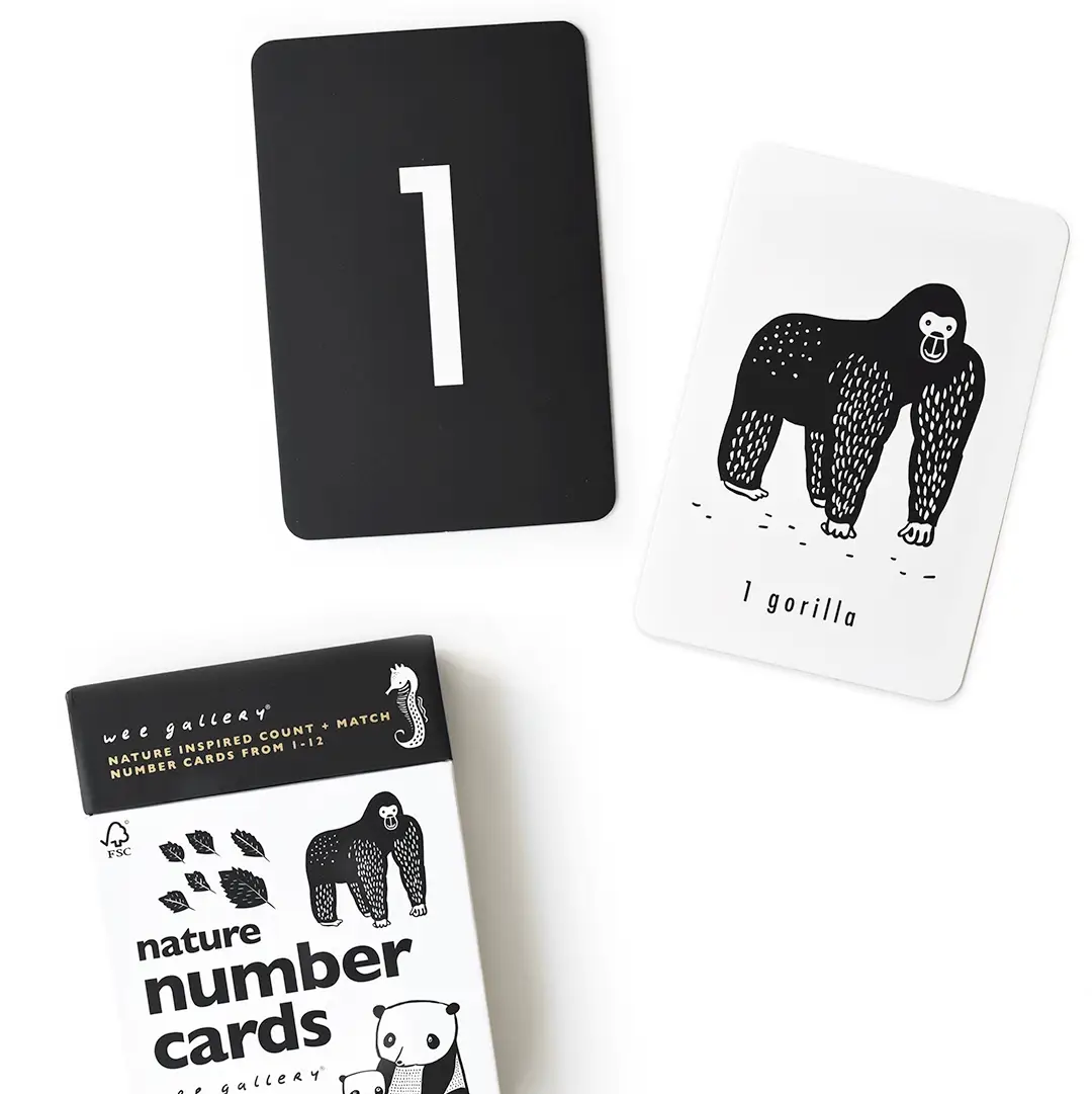 Wee Gallery Counting Adventure Bundle - Image 5
