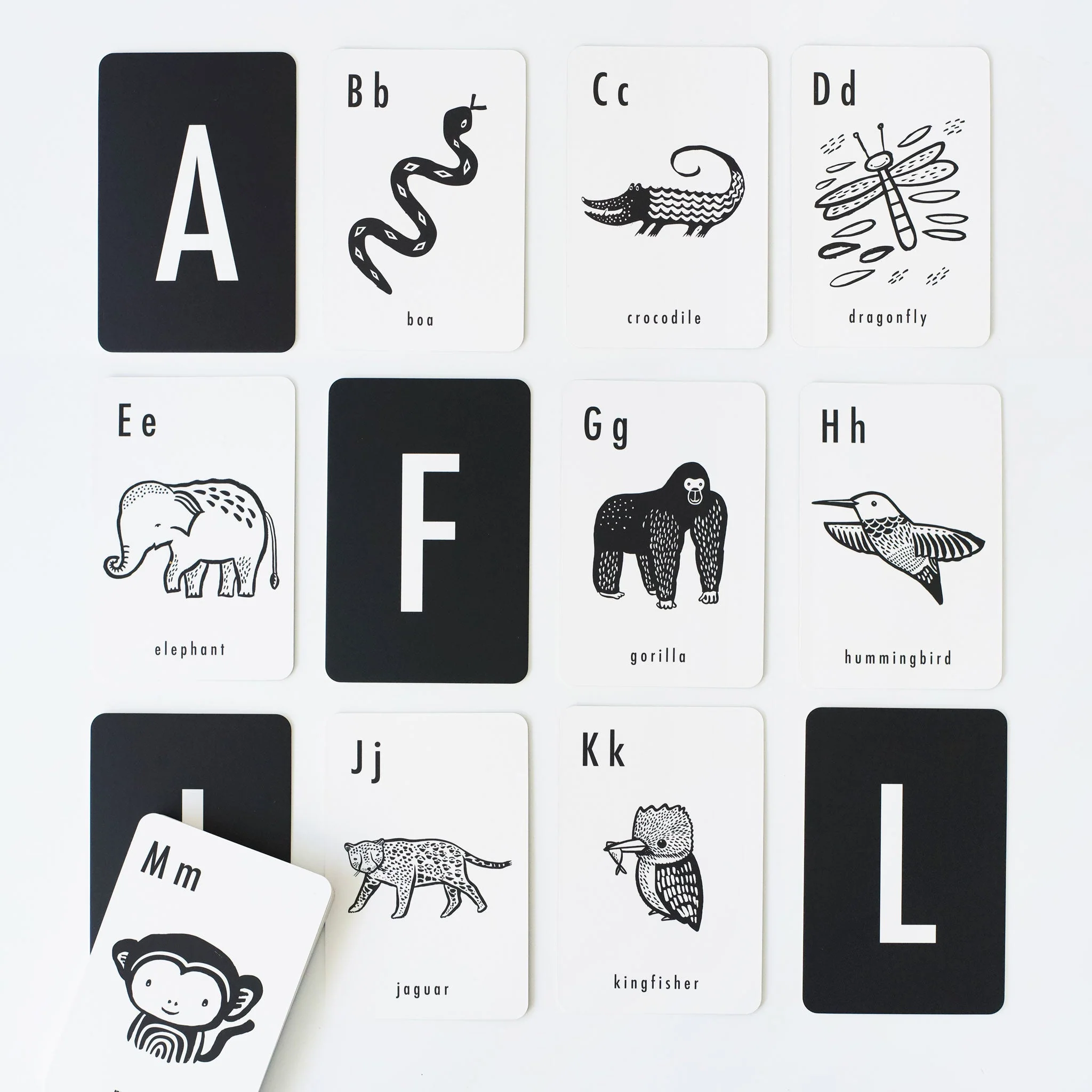 Wee Gallery Jungle Alphabet Cards - Image 2