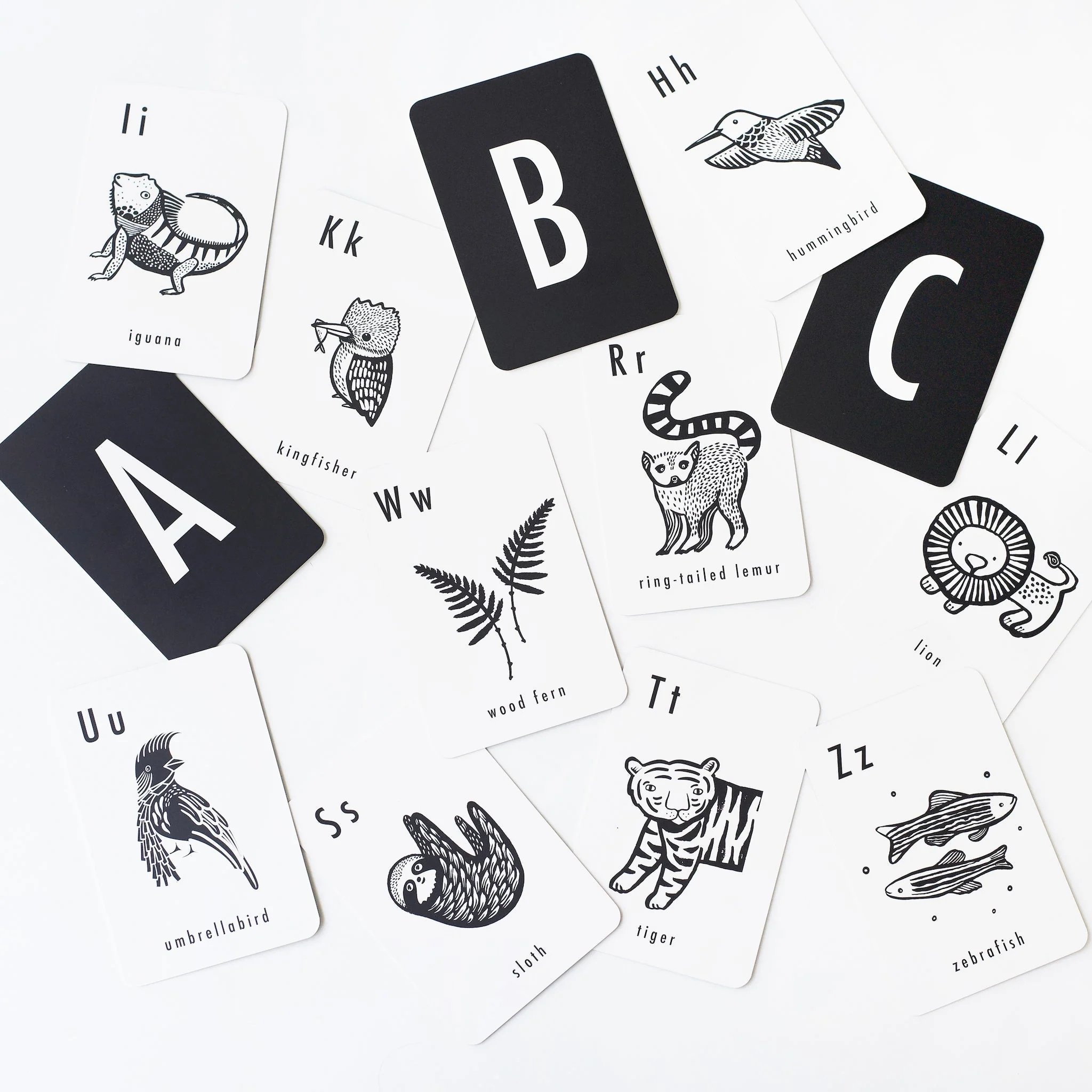 Wee Gallery Jungle Alphabet Cards - Image 8
