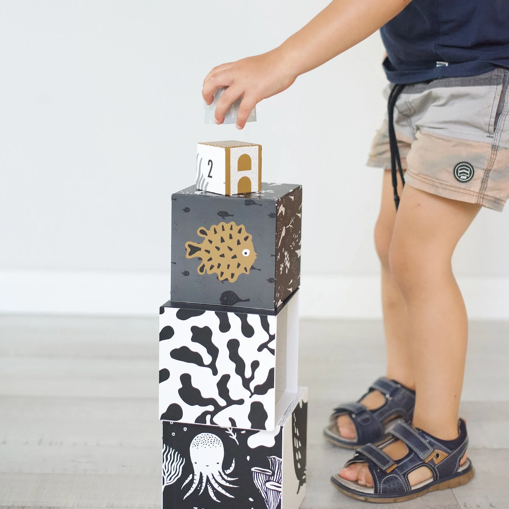 Wee Gallery Nesting Blocks - Ocean Animals - Image 7