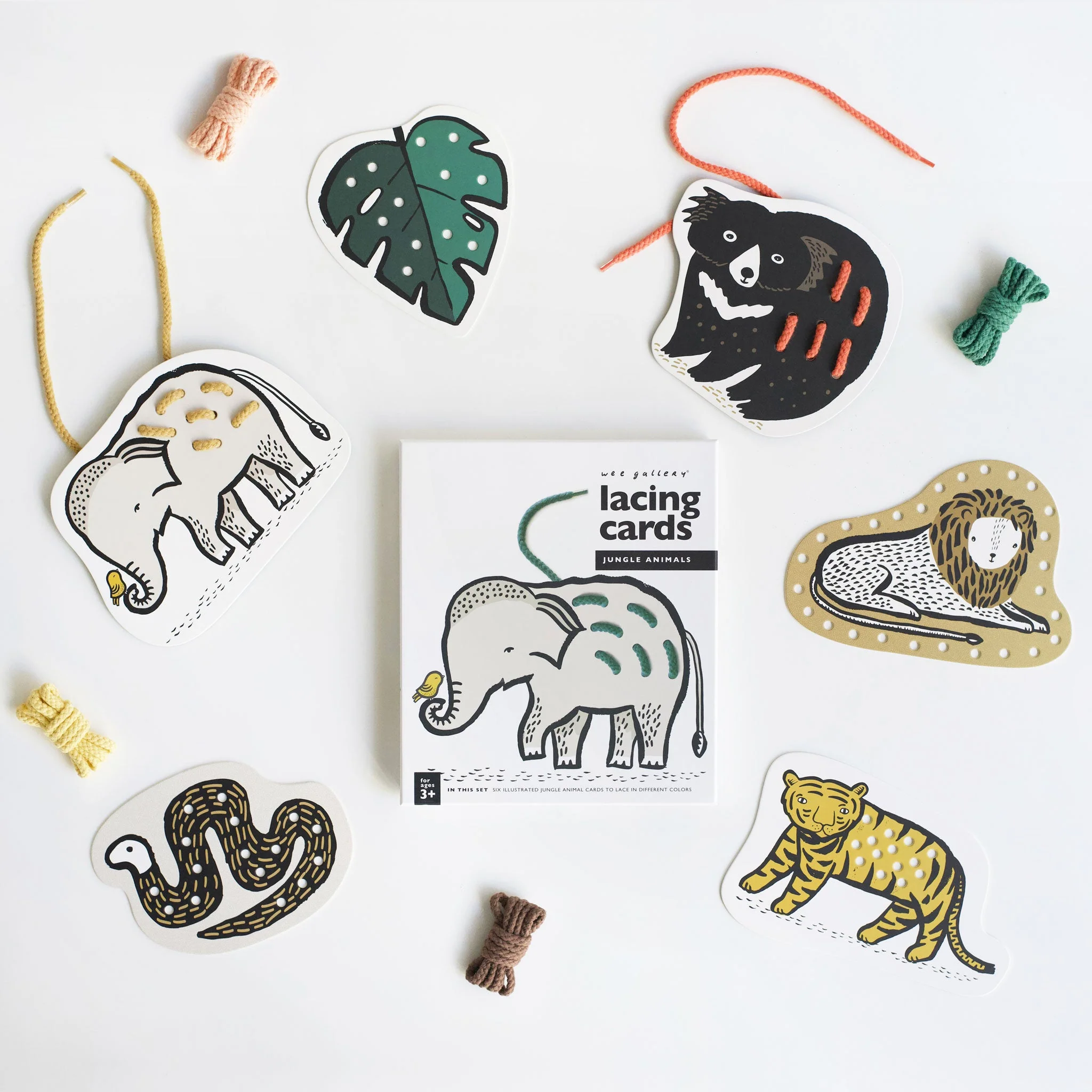 Wee Gallery Wild Adventure Bundle - Image 5