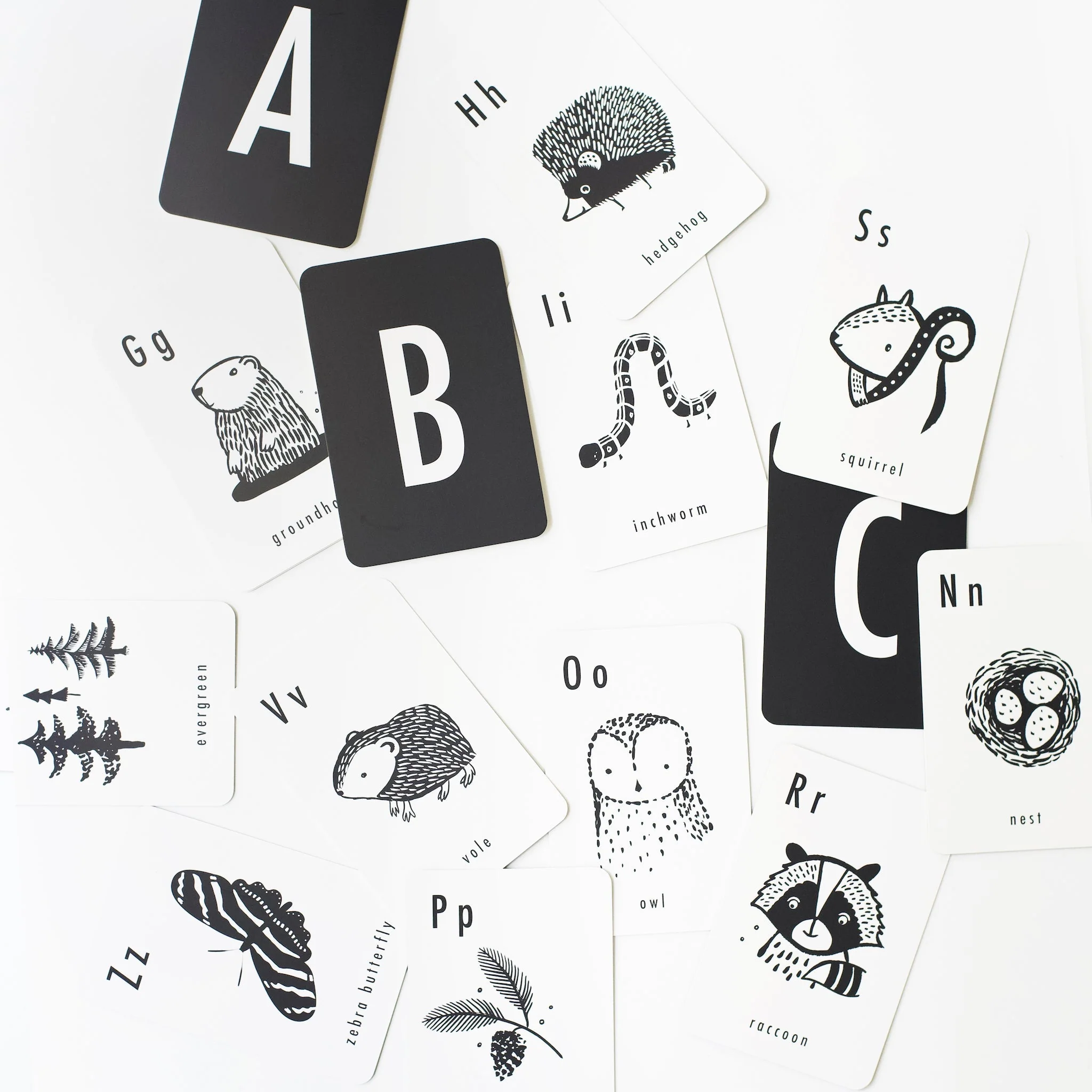Wee Gallery Woodland Alphabet Cards - Image 6