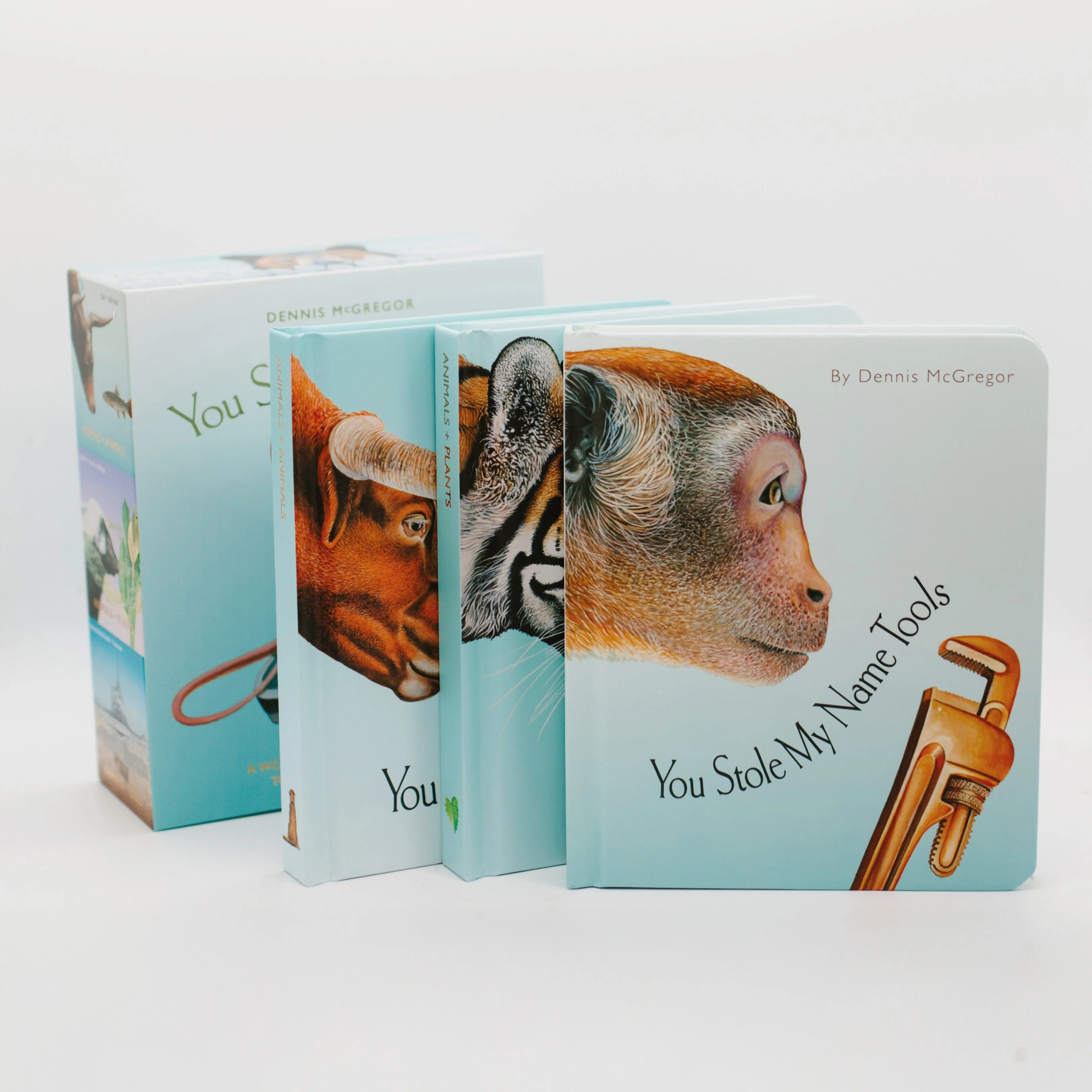 You Stole My Name Board Book Box Set - Image 3