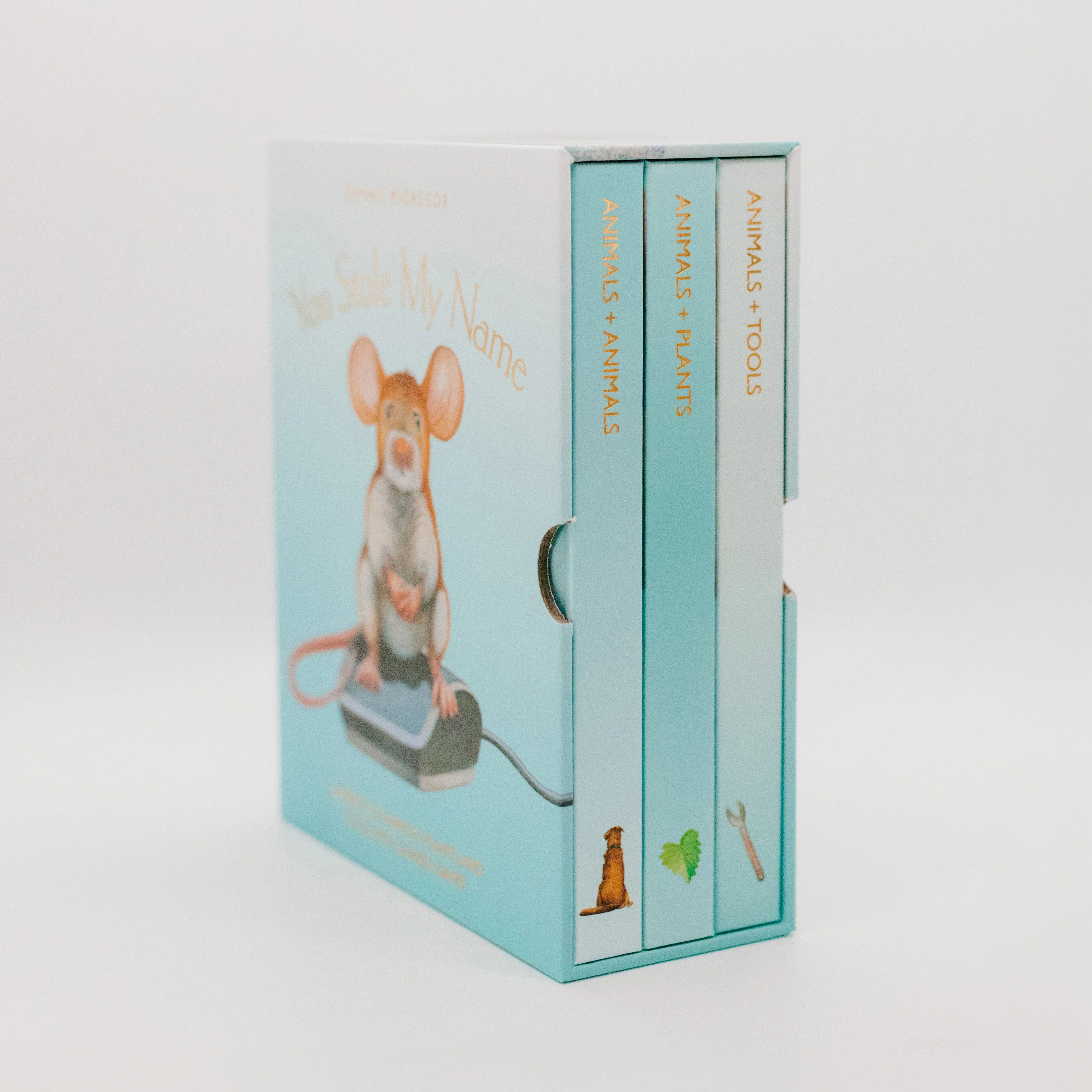 You Stole My Name Board Book Box Set - Image 4