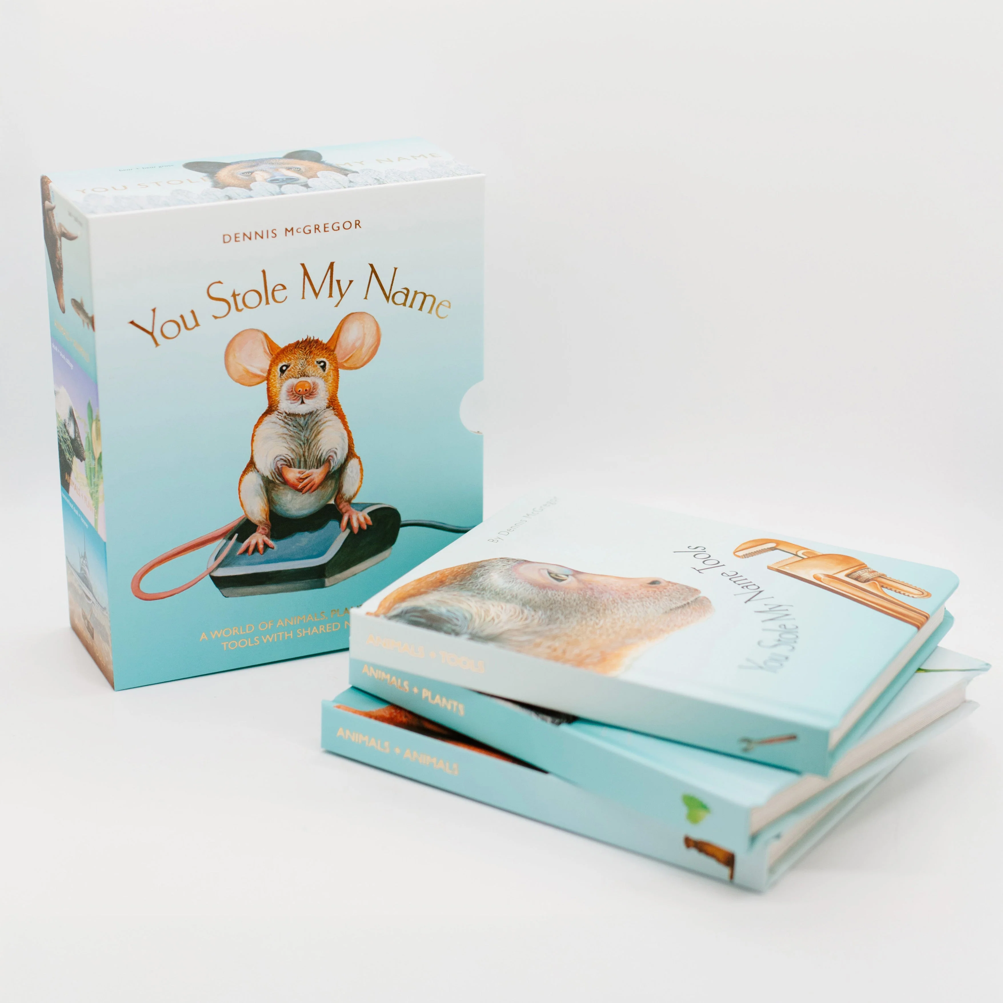 You Stole My Name Board Book Box Set - Image 5